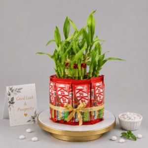 Lucky Bamboo & KitKat Chocolate Arrangement